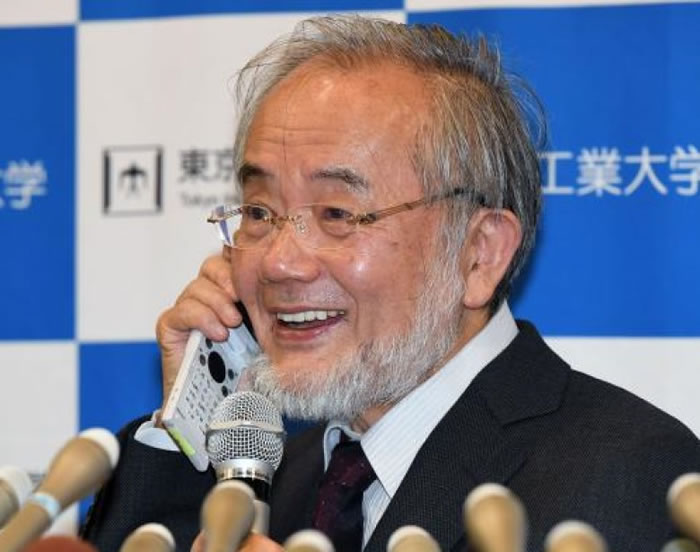 大隅良典教授形容“细胞自噬作用”就是细胞不断重覆创造和破坏的过程。