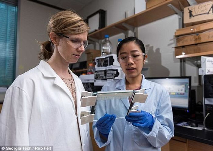 美国乔治亚理工学院研究人员克里斯汀-何(右)与玛萨-格罗夫教授。