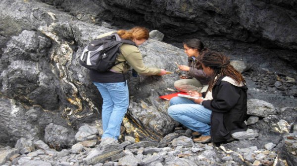 女科学家水深火热：推荐信都搞不到好的