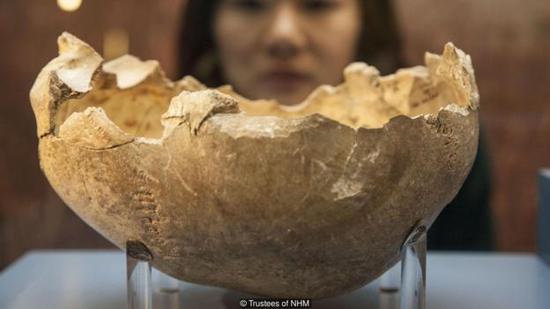 经过装饰后的头骨杯