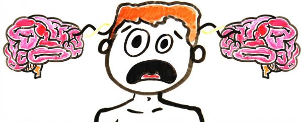 人体有第二个大脑