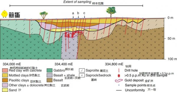 还真有会“长”金子的树