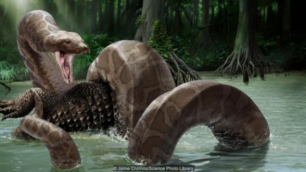 进化论能进化出“龙”吗？