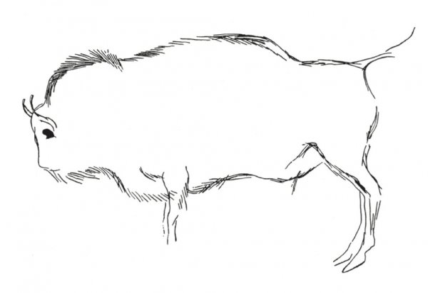 史前壁画和DNA揭示神秘“希格斯野牛”的存在