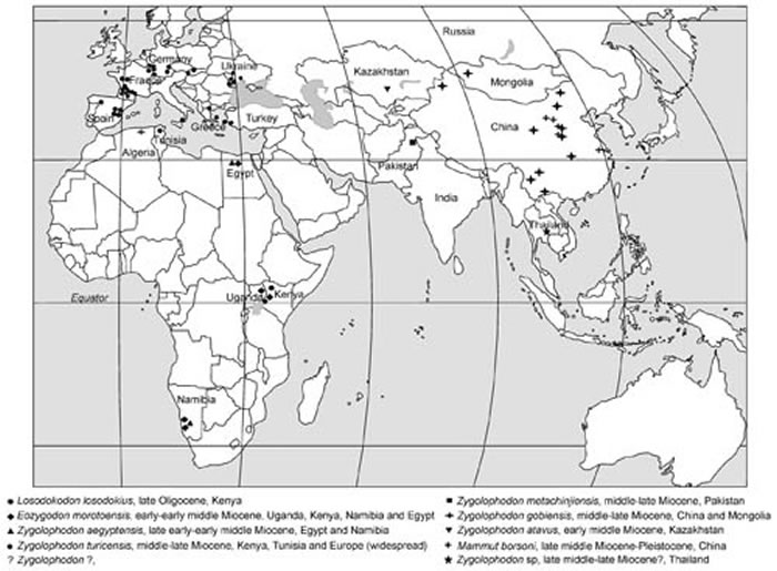 轭齿象在旧大陆的分布 (邓涛供图)