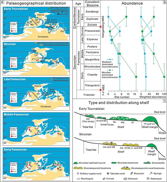 泥盆纪法门期-石炭纪杜内早期骨架生物为主和微生物为主的生物建造的类型(a)、丰度(b)和古地理分布(a, c)图