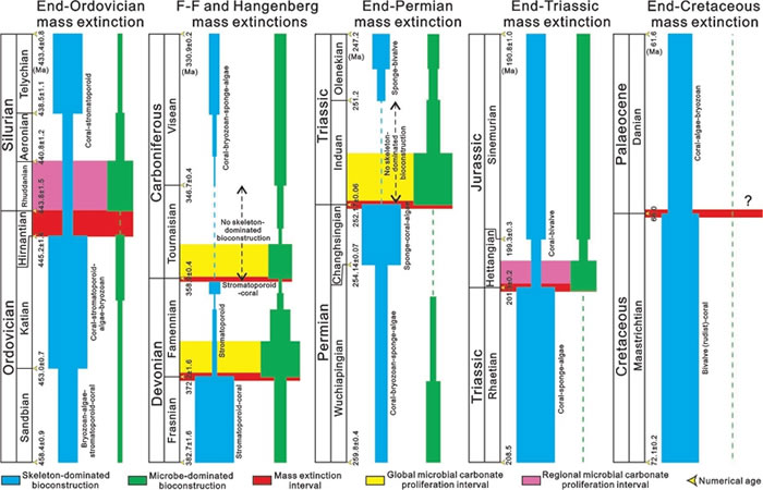 显生宙Hangenberg和“五次”生物大灭绝事件转折期间骨架生物为主和微生物为主的生物建造的相对丰度变化图