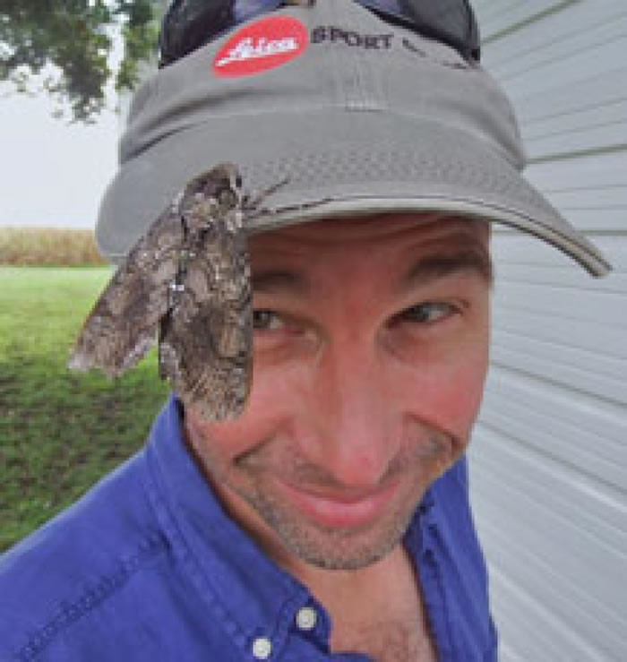 查普曼(图)认为人们忽略了昆虫的迁徙行为。