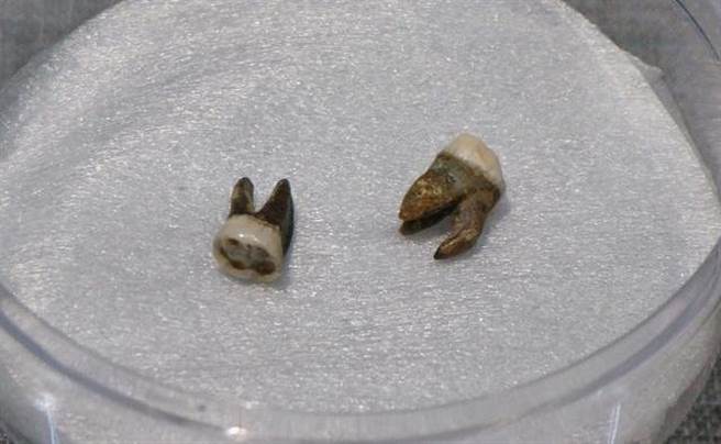 隋炀帝的墓中，只找到了其牙齿，并未发现他的遗骸。