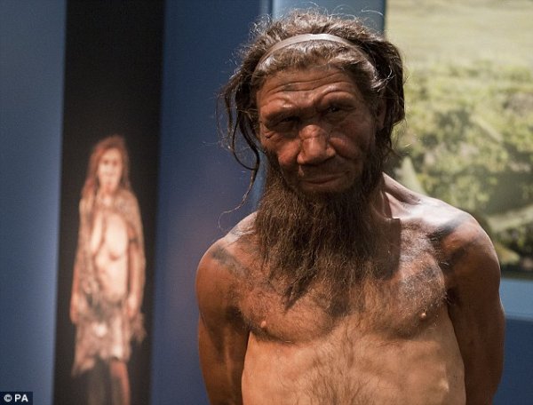 与尼安德特人交配使人类有了更强免疫力