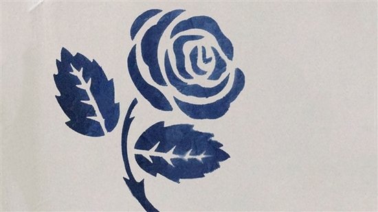 图片来源：Jing Wei