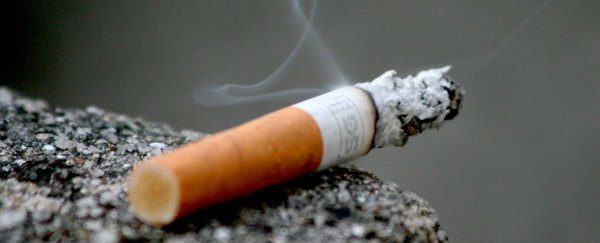 “上瘾”其实是一种大脑疾病