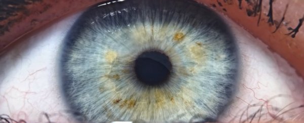 蛔虫虽然没眼睛，却拥有吊炸天的光感受器