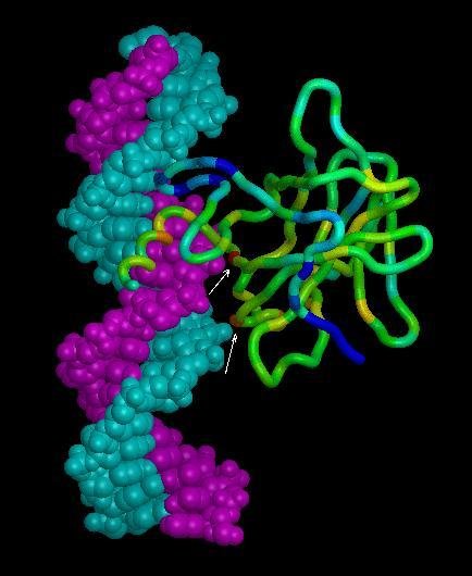 人工智能会成为下一个爱因斯坦吗