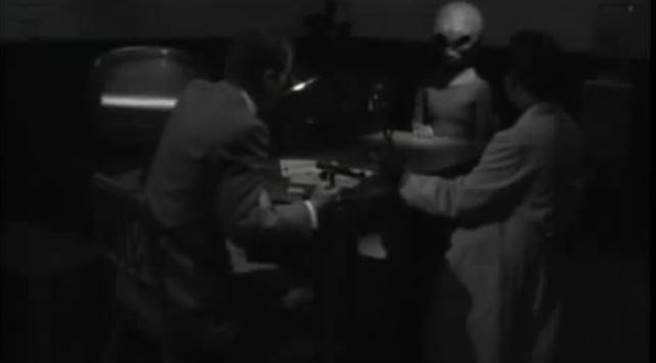 “它的皮肤是粉红或米色的，但头部看起来是紫色的似乎有瘀伤，它的头看起来好像遭受了严重的挫伤”。