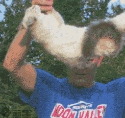 喵星物理学：为什么主子不怕摔？