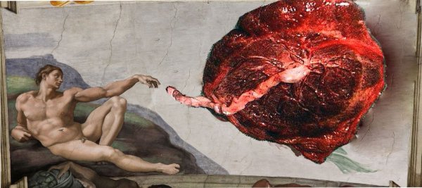 在米开朗基罗画作《创造亚当》里，到底是大脑还是子宫？