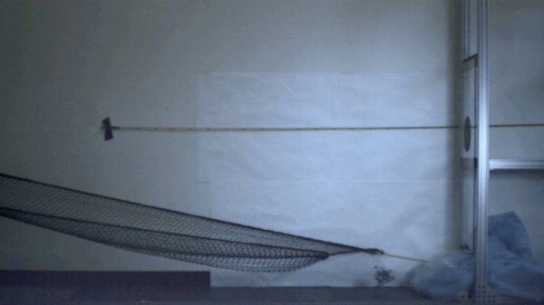 WOW~我们做出了史上最敏捷的跳跃机器人