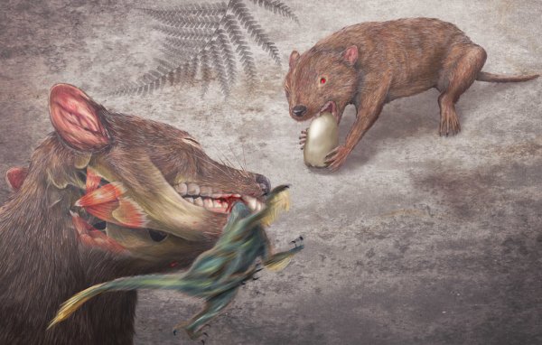有超强咬合力的古哺乳动物，能捕食小恐龙