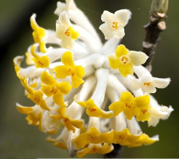 43_140226132850_1 (1) 43_140226132850_1 (1)