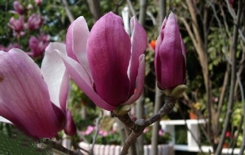 43_140226132920_1 (1) 43_140226132920_1 (1)