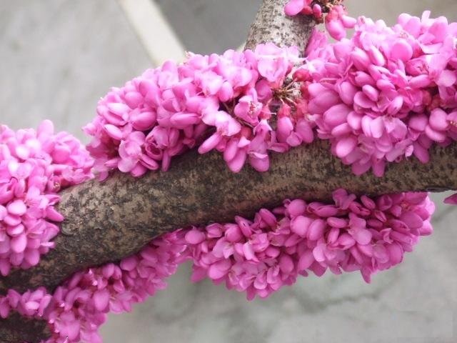 43_140226132934_1 (1) 43_140226132934_1 (1)