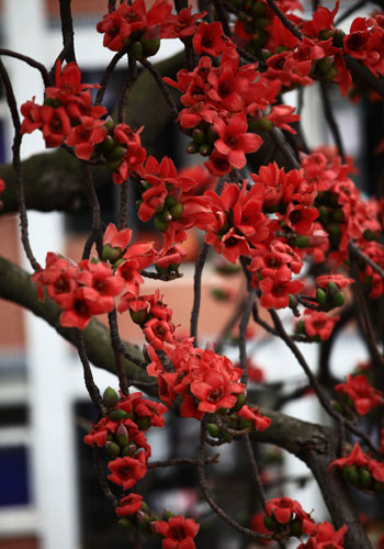 43_140226132947_1 (1) 43_140226132947_1 (1)