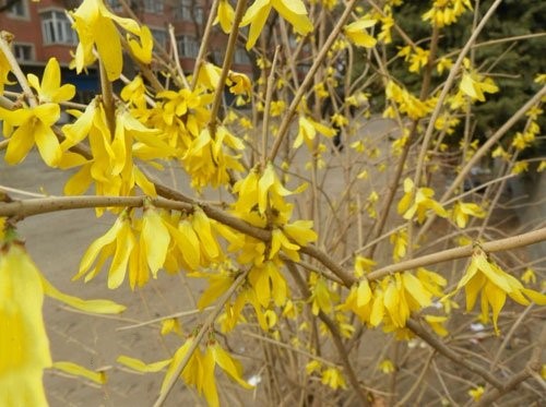 43_140226133000_1 (1) 43_140226133000_1 (1)