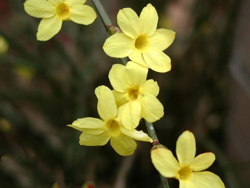 43_140226133013_1 43_140226133013_1