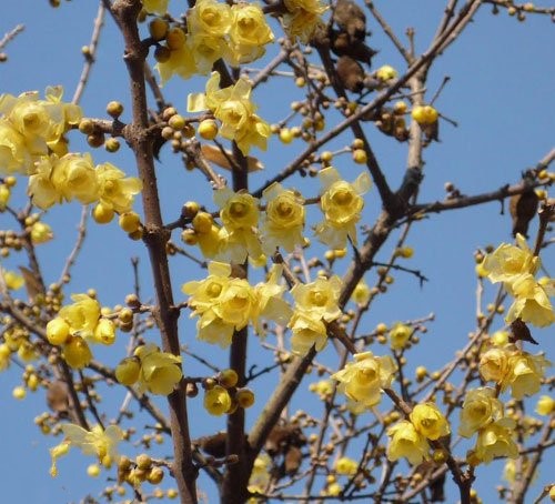 43_140226133024_1 43_140226133024_1