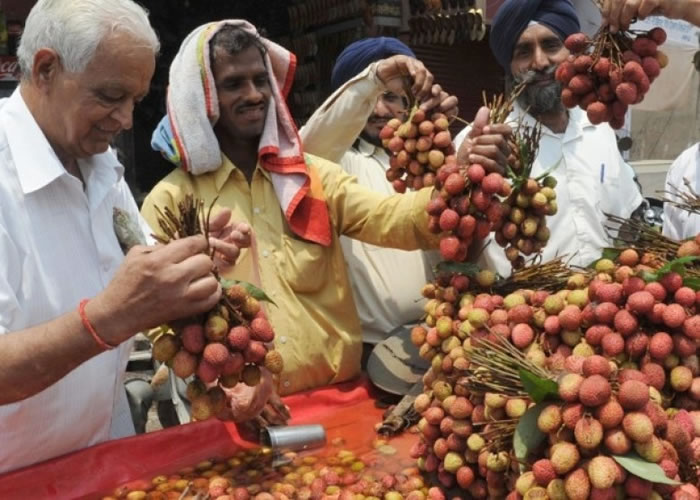 印度有大批民众因空肚食荔枝而丧命。(资料图片)