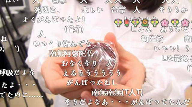 万人守候《小鸡孵化网络直播》无法破蛋而出好伤心…… - 图片15