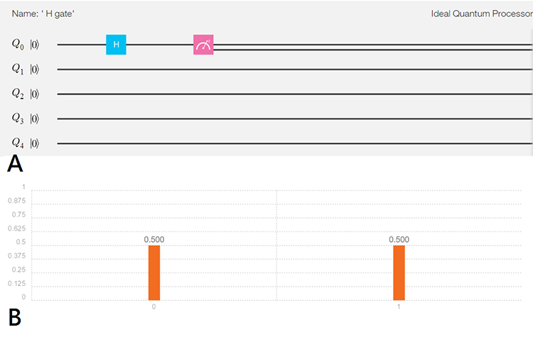 圖三、第一個位元中的0經過H閘之後,變成0和1的疊加。從B中可以看出第一個位元處於0和1的機率都是50%。