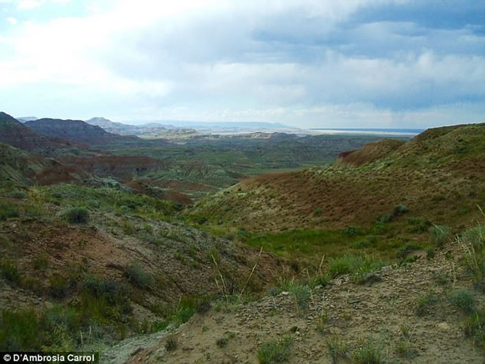 5600万年前地球突然升温 始祖马体型随之缩小