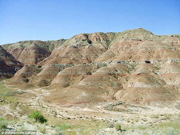 5600万年前地球突然升温 始祖马体型随之缩小