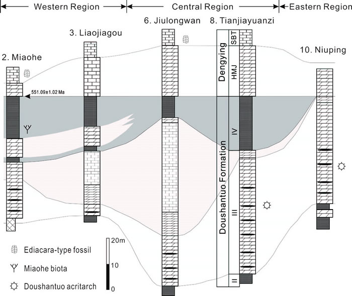 黄陵背斜地区陡山沱组上部岩石地层对比