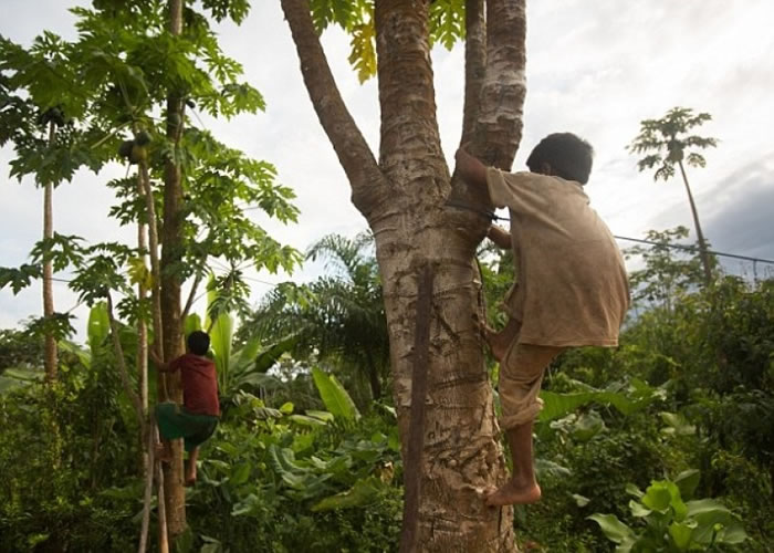 专家指长期保持活跃，有助防止心脏血管硬化。