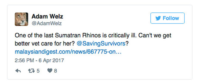 国家地理频道表示“文冬”的获救，应该归功于社交媒体的力量。（图／翻摄自伟兹的Twitter）