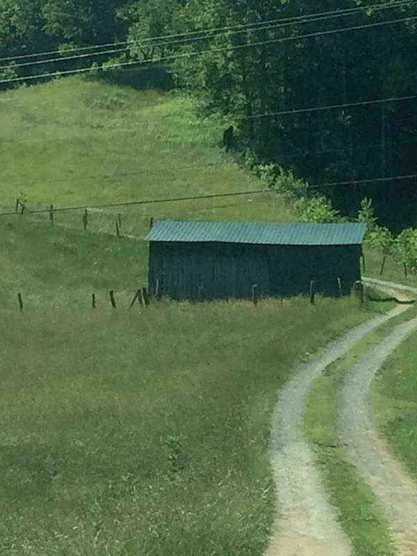 18張讓你困惑到“腦漿從耳朵流出來”的無法解釋照片。#17 會瞬間移動的女子!