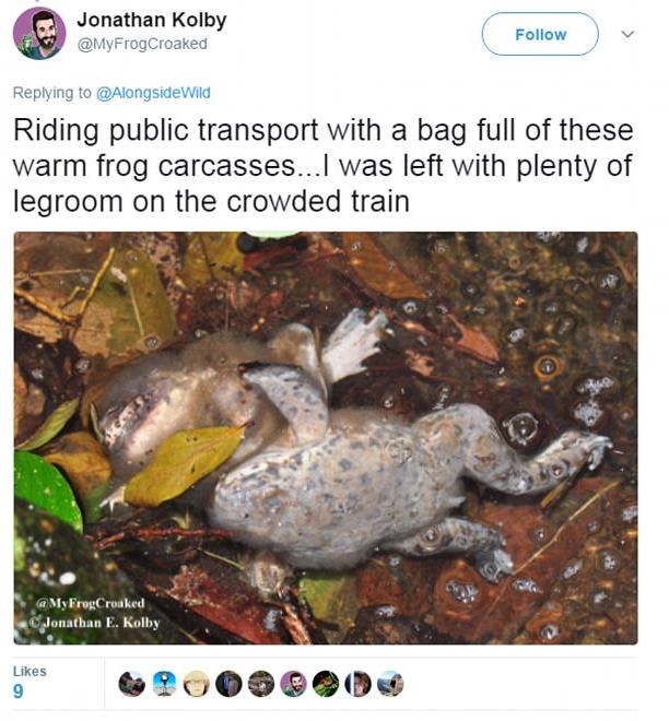 地球上“最臭的东西”有多恶?专家激辩:肛门分泌物从尸体流出(翻摄自推特)