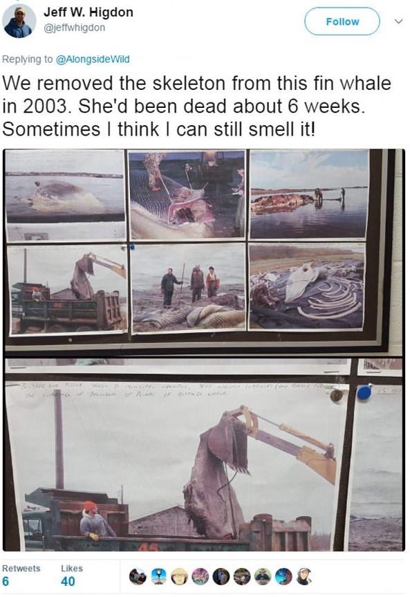 地球上“最臭的东西”有多恶?专家激辩:肛门分泌物从尸体流出(翻摄自推特)