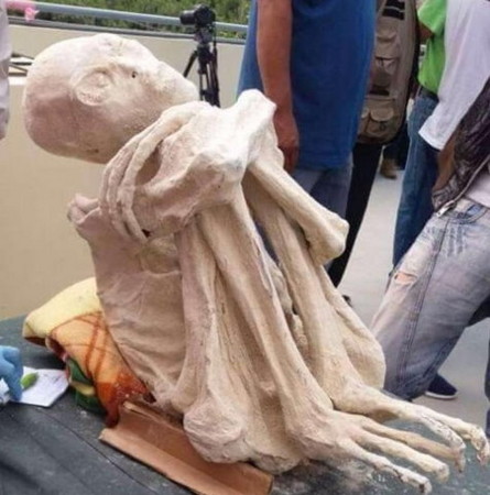 穆森声称发现的：只有3只手指和及脚趾的外星人木乃伊。（图／翻摄自YouTube）