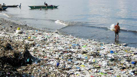 地球已經進入“第6次大滅絕”,人類只剩20年!第5次造成恐龍全滅亡...